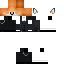 Texture for Fox-Style