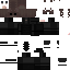 Texture for PH6L6P