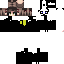 Texture for panda1