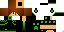 Texture for SandroD2