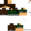 Texture for Thecno