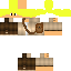 Texture for phoenix