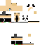 Texture for hg