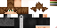 Texture for PixelNetwork
