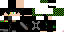 Texture for NInjaLoco