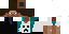 Texture for Скин