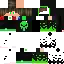 Texture for Steve