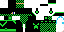 Texture for max06