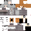 Texture for cat
