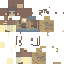 Texture for McKennaCheetah