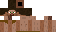 Texture for Survivor