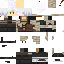 Texture for desert survivor