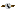 Texture for clock