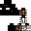 Texture for bash2313