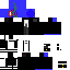 Texture for 2211