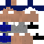 Texture for BaxterZeryu