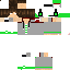 Texture for steve 