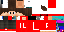 Texture for ALPGAMER