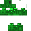 Texture for Super:Santos Craft