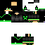 Texture for okawagamer