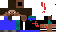 Texture for luds