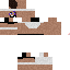 Texture for bint1