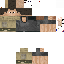 Texture for Roach