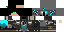 Texture for knightess