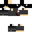 Texture for _FoxFurry