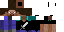 Texture for Steve