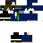 Texture for Dynastar 2.0