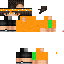 Texture for _iswix_5