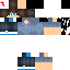 Texture for SilverTwigs