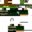 Texture for Lion4Gaming