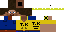 Texture for gbcgt