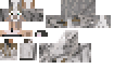 Texture for Aussie pupper