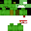 Texture for the turtle