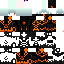 Texture for bear12