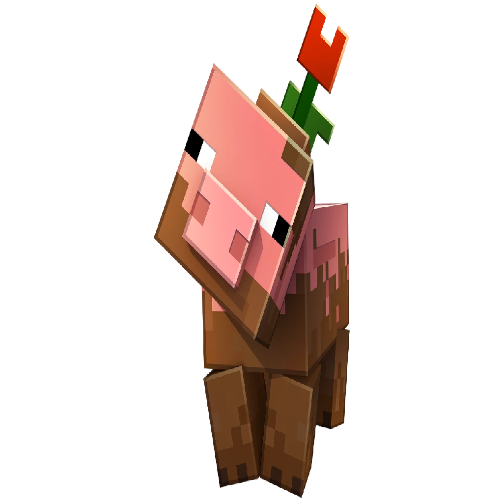 Texture for pig