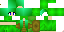 Texture for TURTLE 1