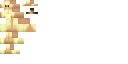 Texture for Maggot