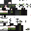 Texture for shbrinh