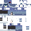 Texture for penguin(2)