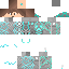 Texture for minecraft hero