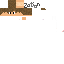Texture for Mausers PP