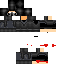 Texture for ninja