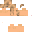Texture for nova