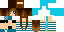 Texture for FleerCraft