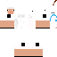 Texture for Sheep
