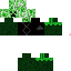 Texture for creeper king